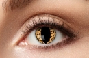Eye lenses - Leo Cat Lenses - 12 month