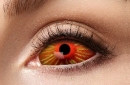 eye lenses Sclera Volturi - 12 month - 1 pair