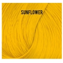 Directions Haarfarbe &quot;Sunflower&quot; 89ml