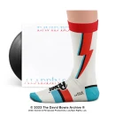 Aladdin Sane Socks